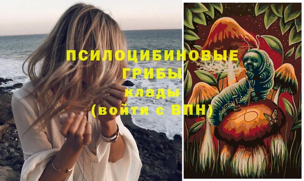 твердый Алексин