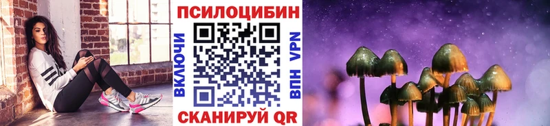 где найти   Жердевка  Галлюциногенные грибы Cubensis 